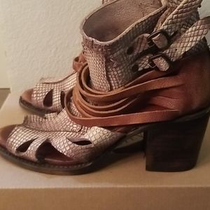 Freebird by Steven- Nest